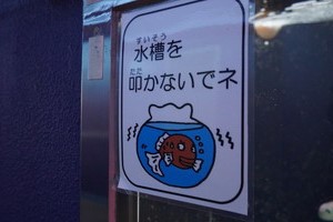 海のさかな水槽015