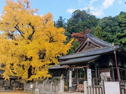 六條八幡宮