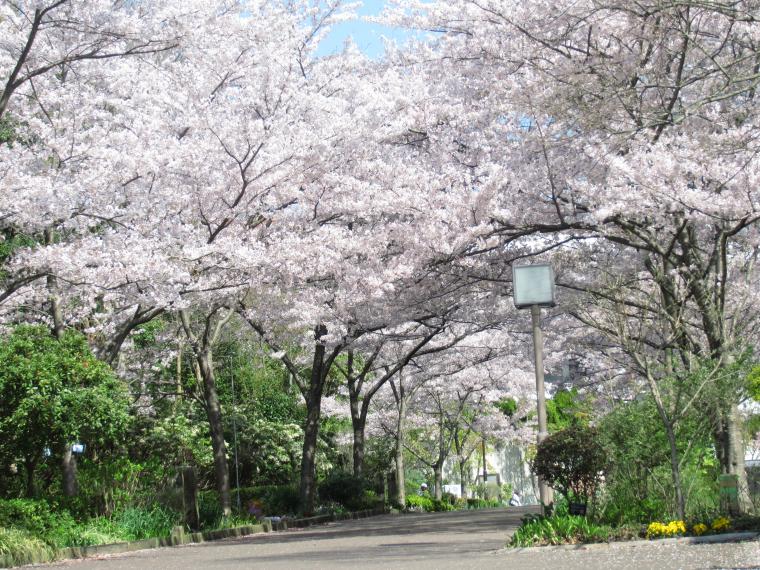 総合運動公園