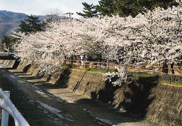 石屋川の画像