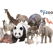 ojipark_icon_zoo