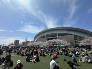 ノエスタふるさと納税